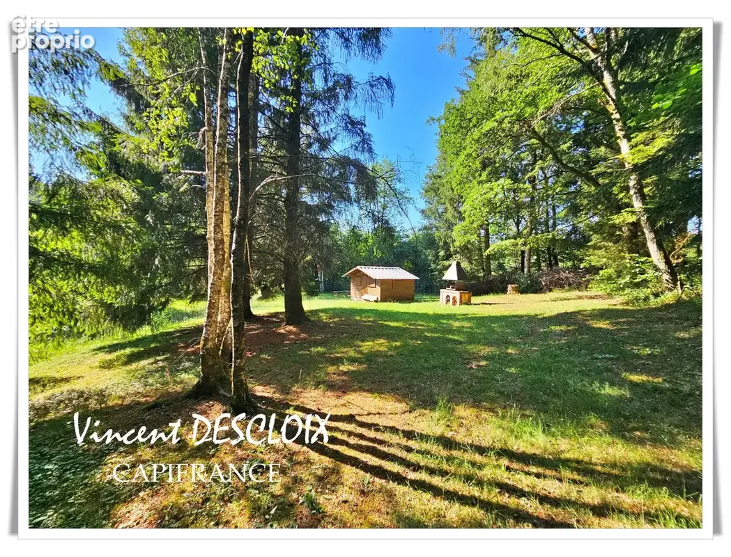 Terrain 19 965m² avec étang à vendre  GIEN SUR CURE (58230) - photo 15