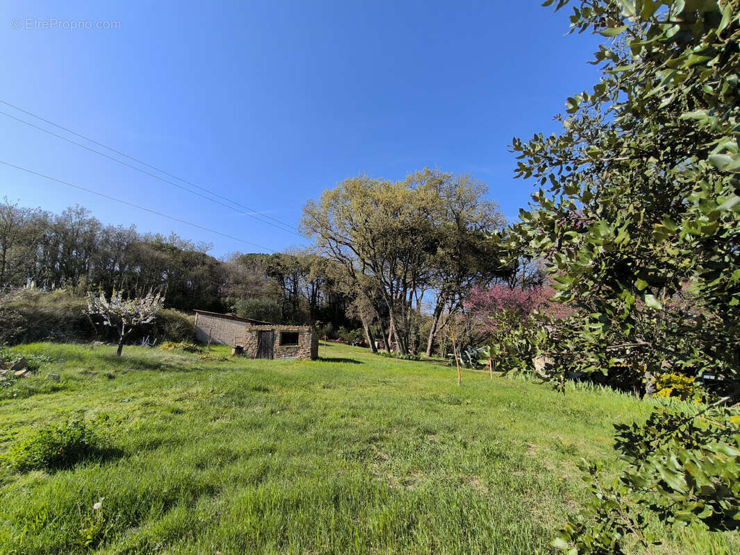 Terrain à SAINT-LAURENT-LA-VERNEDE