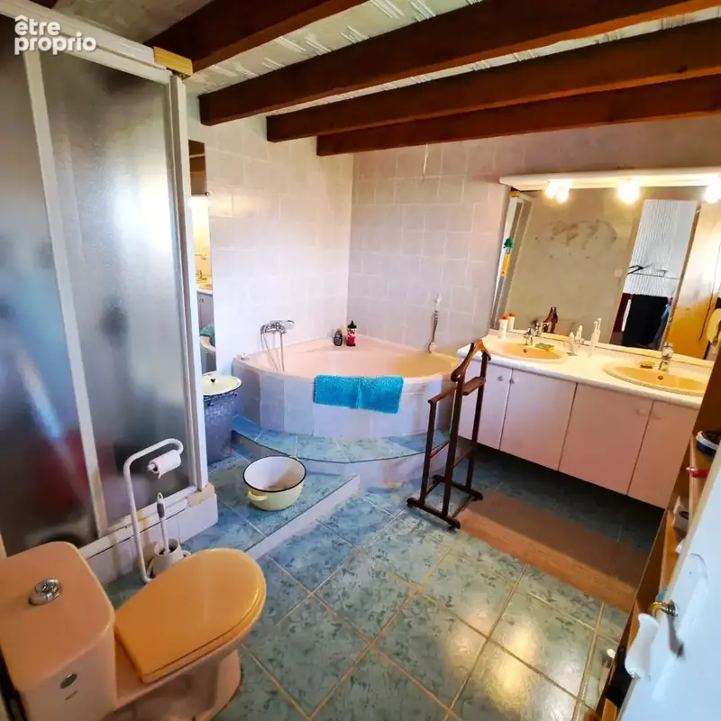 Maison Orliénas 7 pièces 245 m2 - photo 8