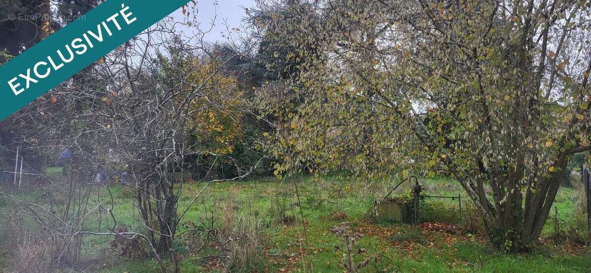 Photo 2 - Terrain à LE BLANC