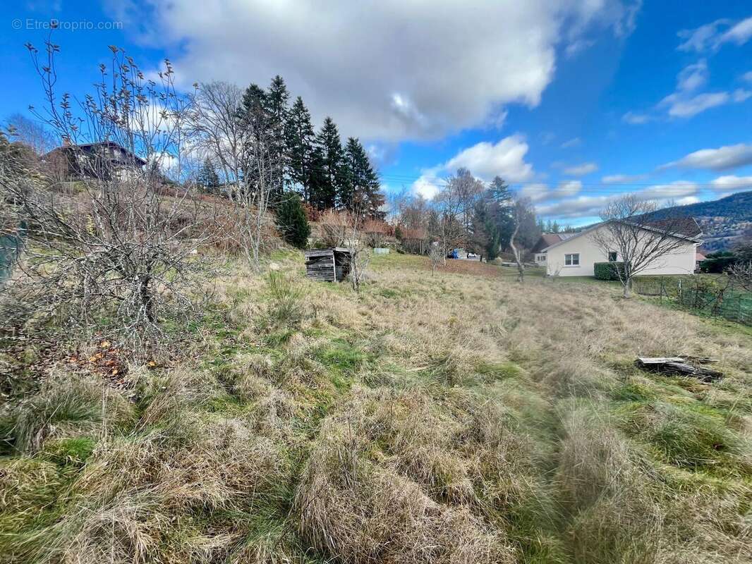 Photo 3 - Terrain à SAINT-NABORD