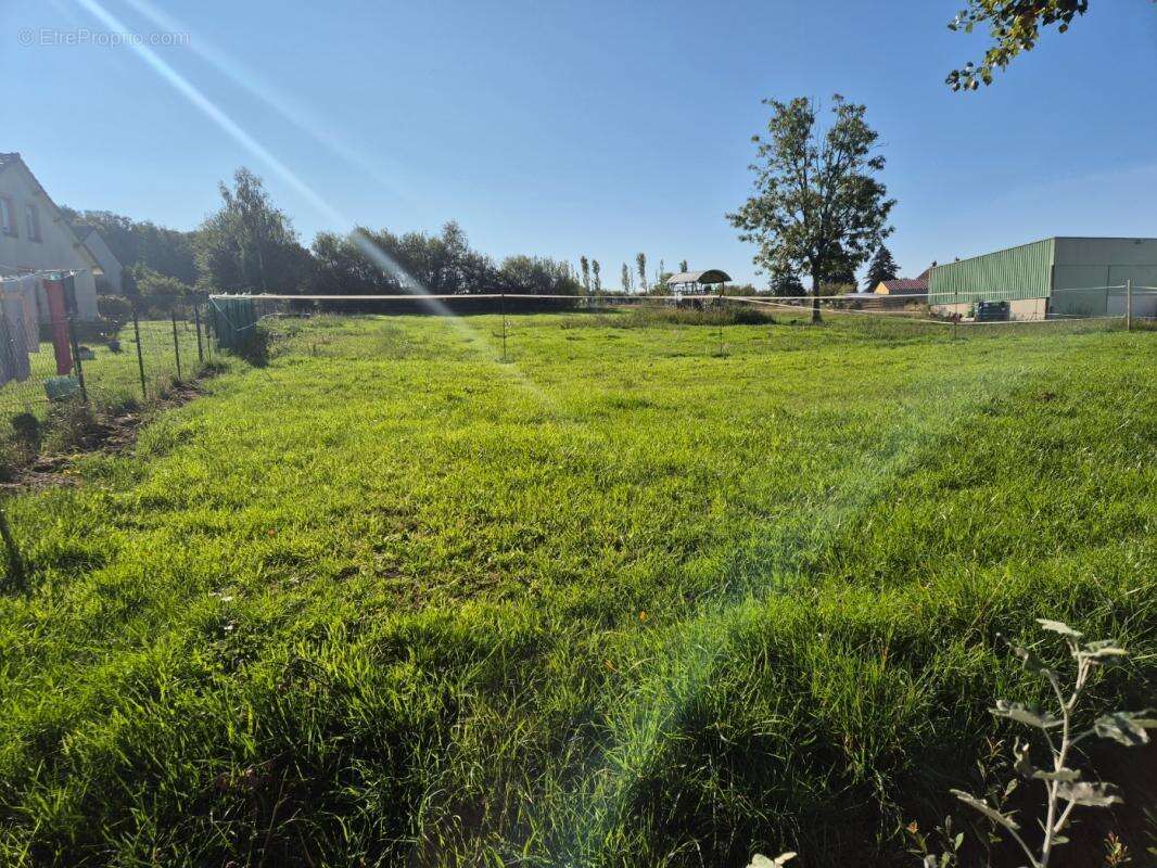 Terrain à LALIZOLLE