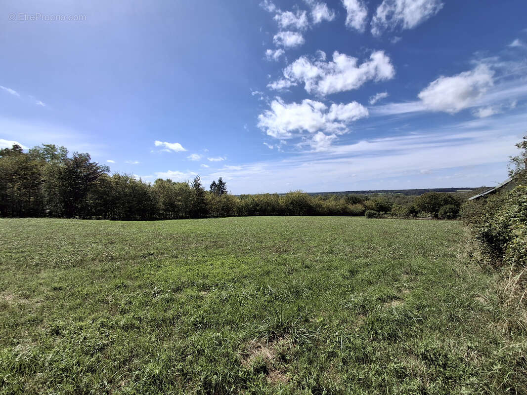 Terrain à LA CHARITE-SUR-LOIRE