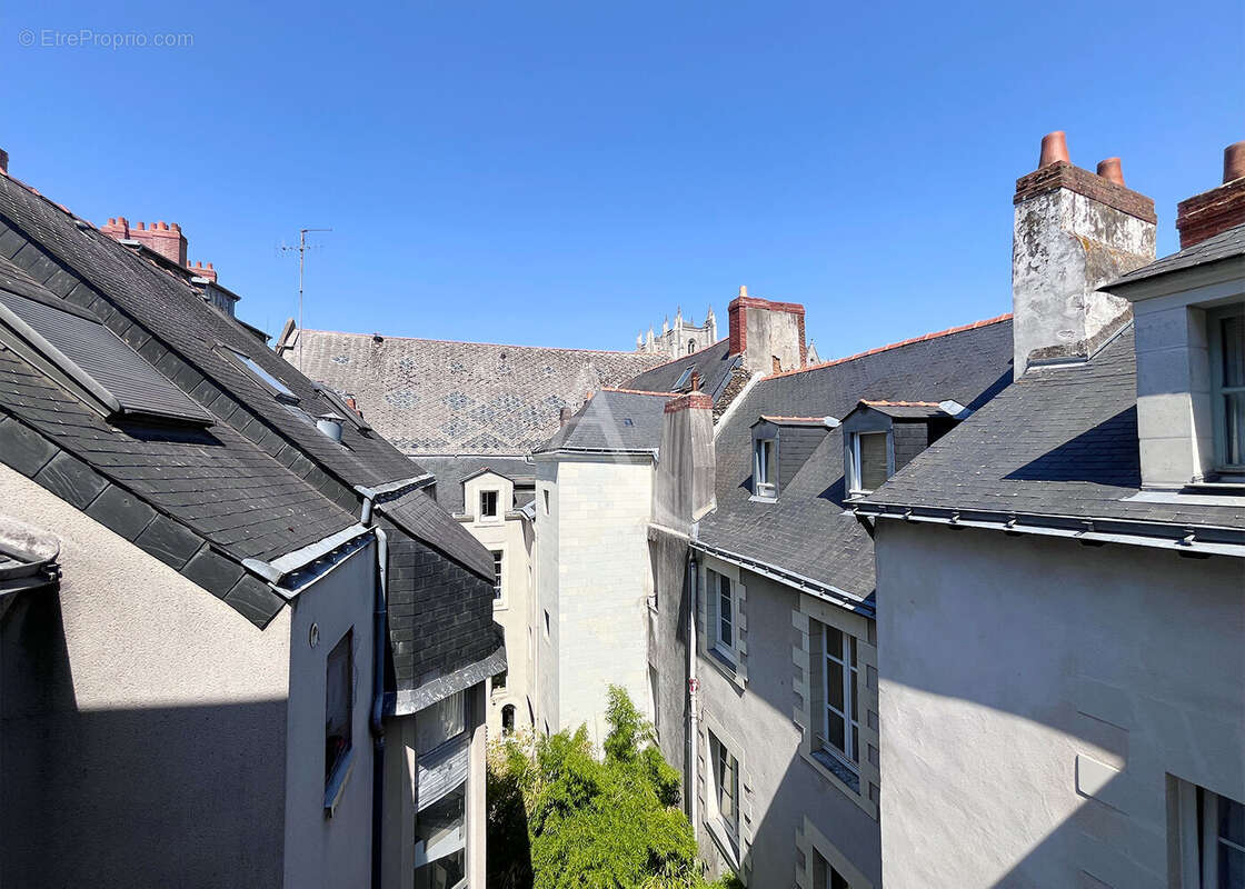 Appartement  1 pièce(s) 19 m2 - photo 6
