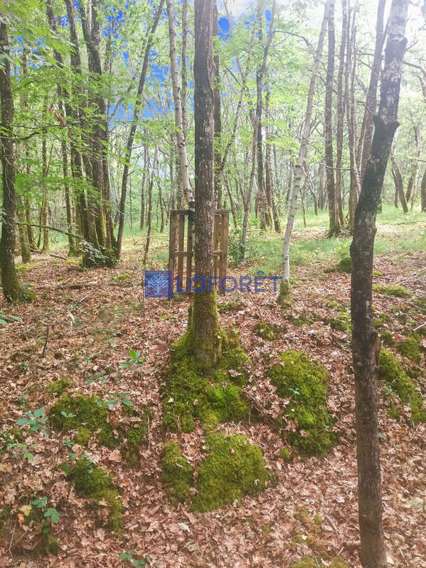 Terrain à LANGEAIS