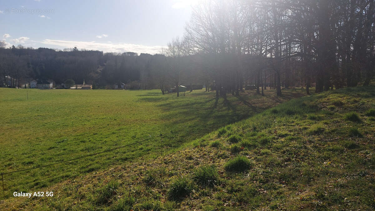 Terrain à SAINT-PARDOUX-LA-RIVIERE