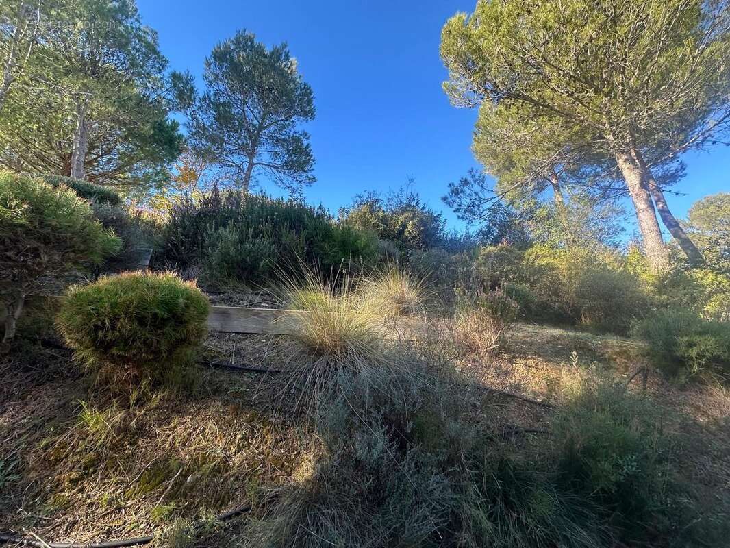 Maison à SAINT-CLEMENT-DE-RIVIERE