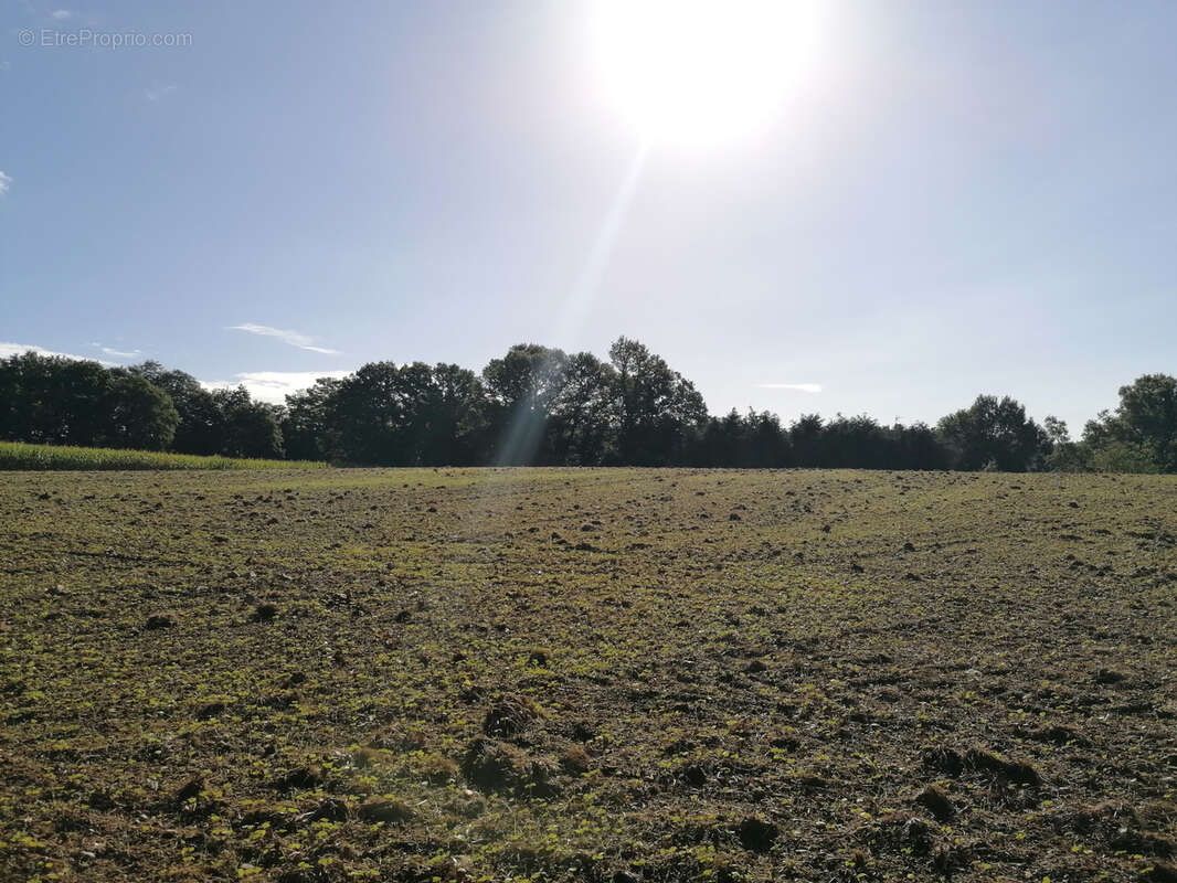 Terrain à MONTERTELOT