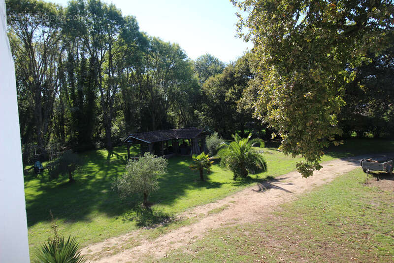 Maison à SAINT-PAUL-EN-BORN