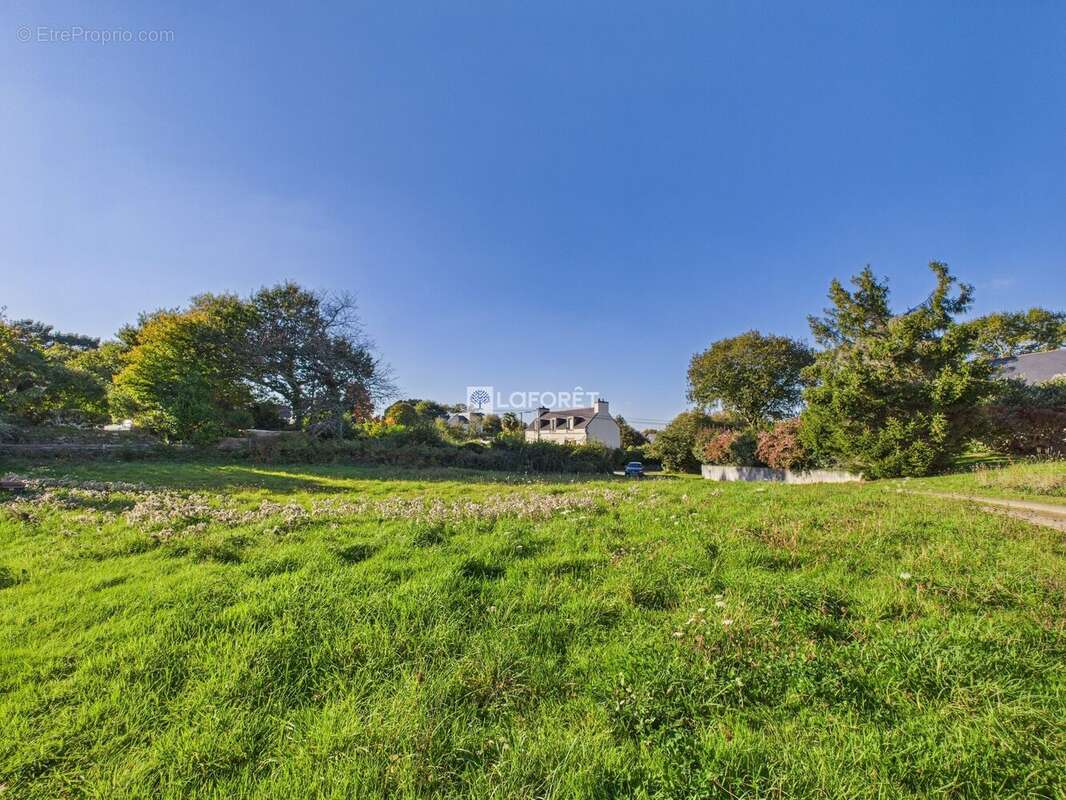 Terrain à PLEUVEN