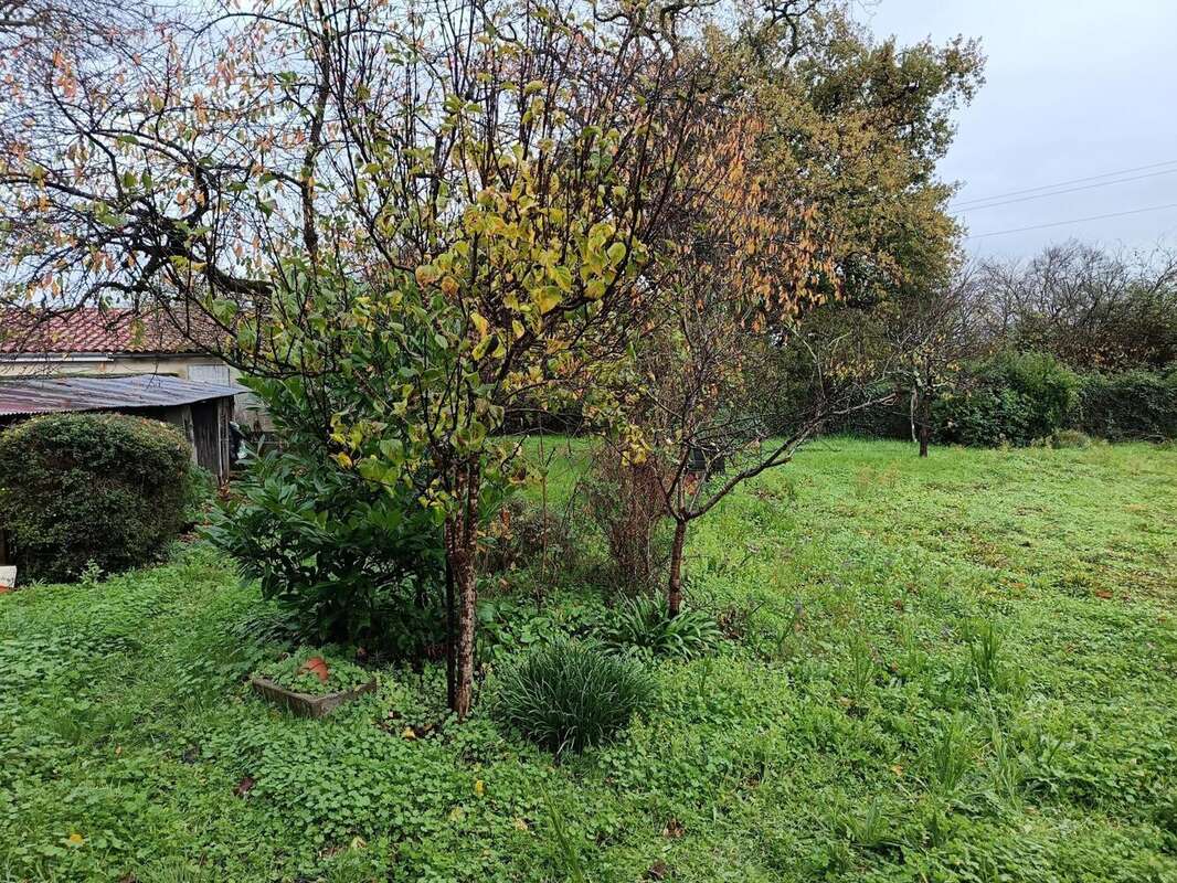 Photo 2 - Maison à COGNAC