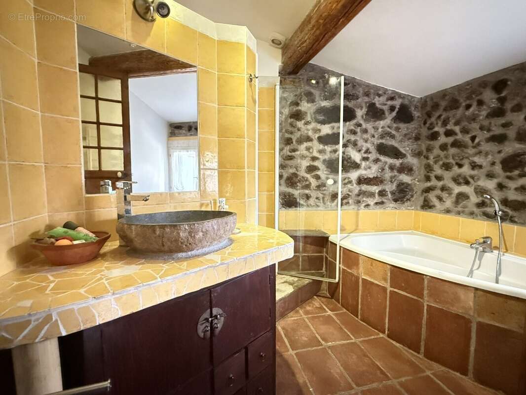 Maison à SAINT-THIBERY