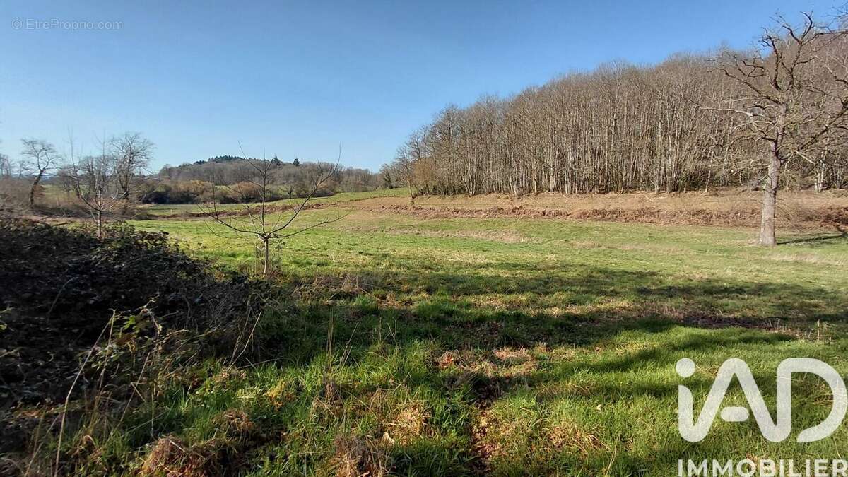 Photo 4 - Terrain à SAINT-PRIEST-LA-FEUILLE