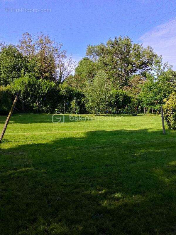 Maison d' habitable avec potentiel d’aménagement – Environ 69,57 m², dépendances et terrain de 5590 m² - photo 7