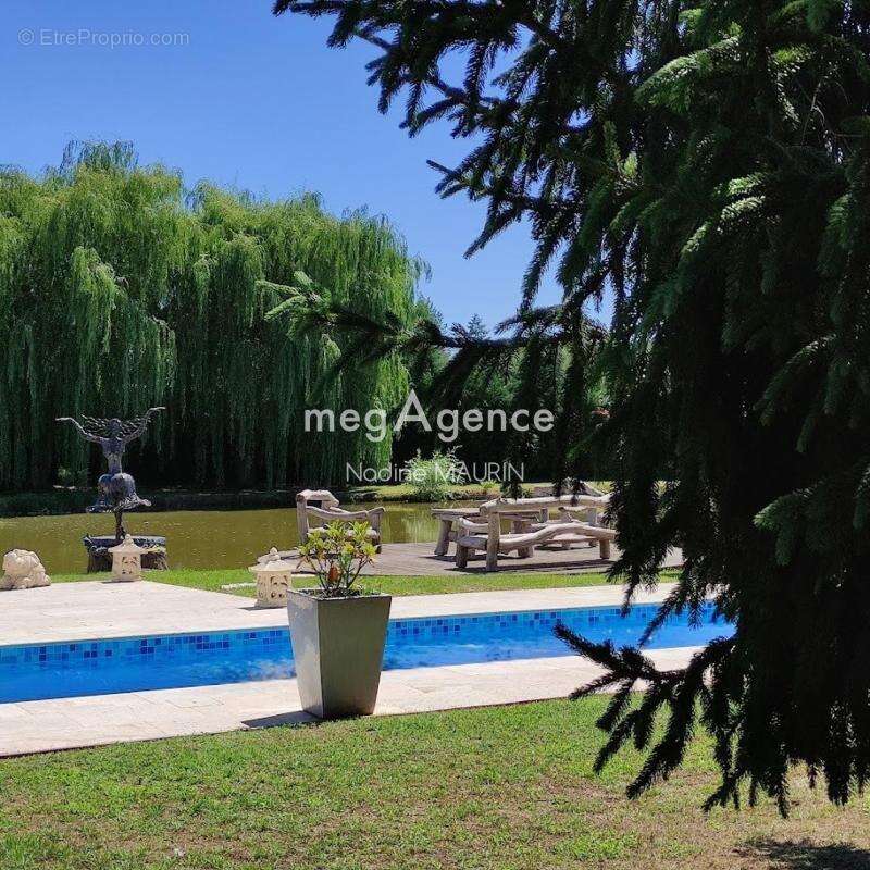 propriété de Sologne,avec un étang et une piscine - photo 2