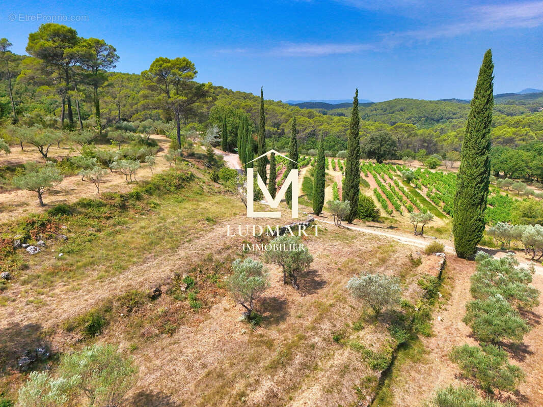 Lorgues   Domaine provençal de 11 hectares avec deux maisons indépendantes, deux piscines, vignoble AOP et oliveraie - photo 18