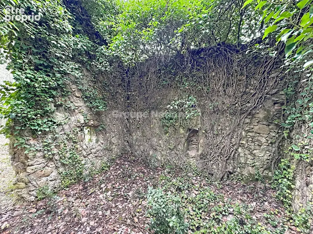 Terrain à CALLIAN