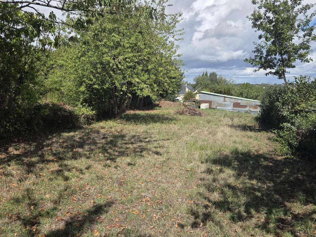 Terrain à GREZ-EN-BOUERE