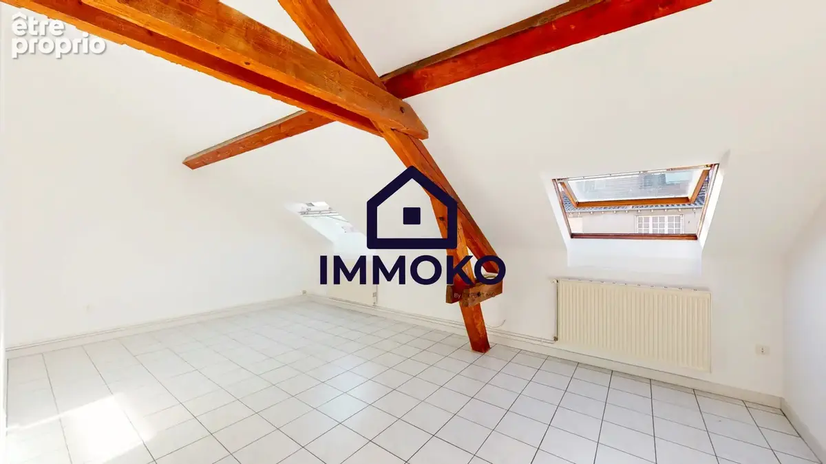 Grand appartement T2/3 lumineux et spacieux - photo 2