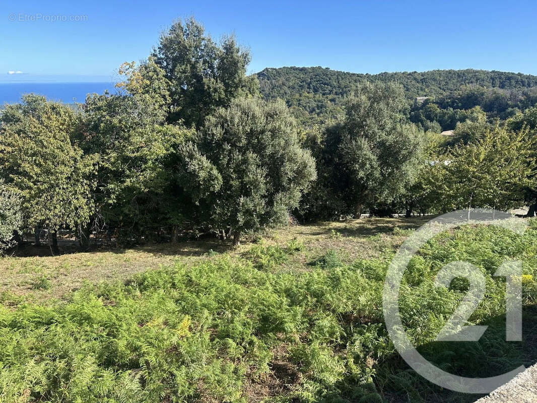 Terrain à PENTA-DI-CASINCA