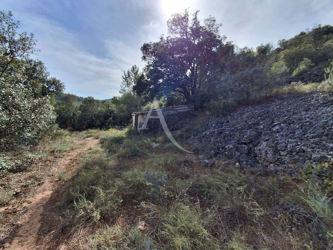 Terrain à BEDARIEUX