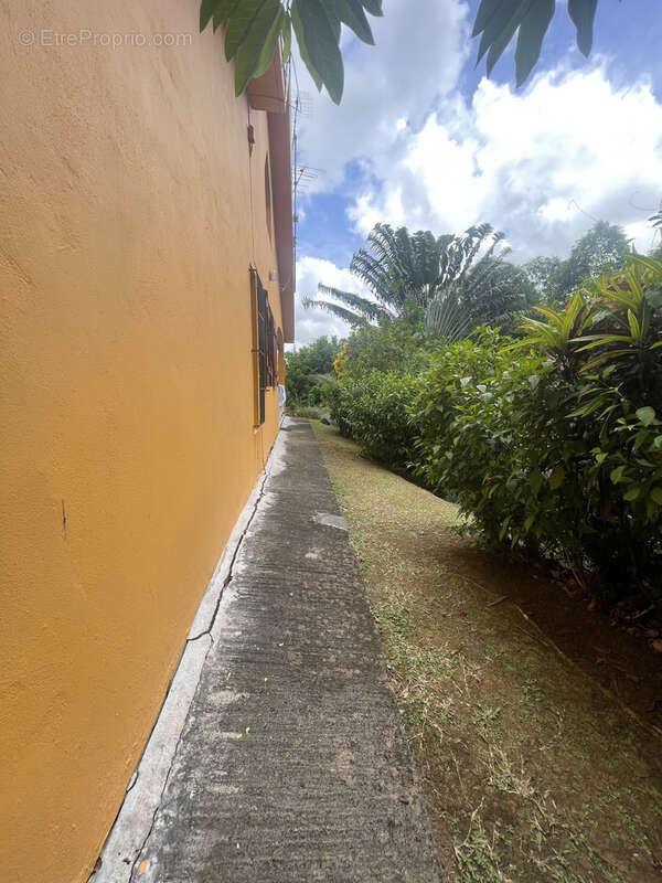 Maison à RIVIERE-SALEE