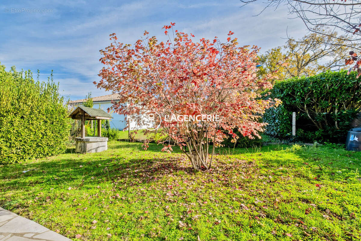 Maison à LE HAILLAN