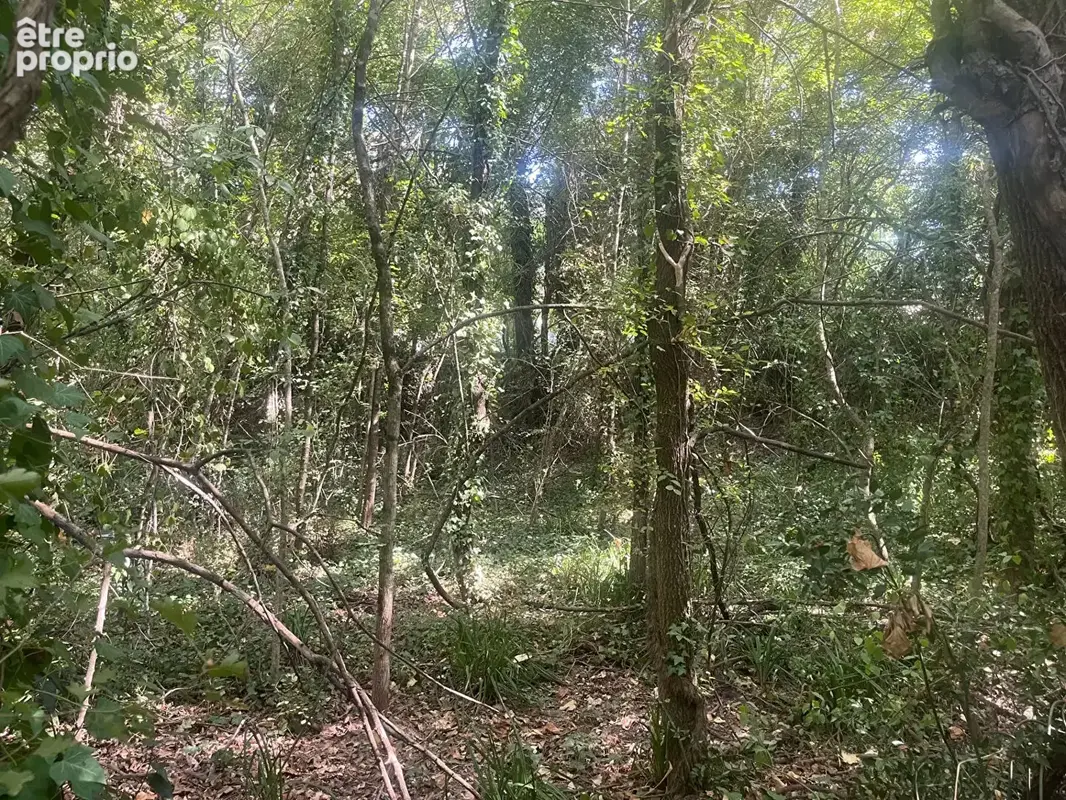 Terrain  en zone naturelle de 4042 m2 - photo 5