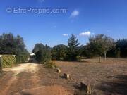 Terrain à SAINT-GILLES