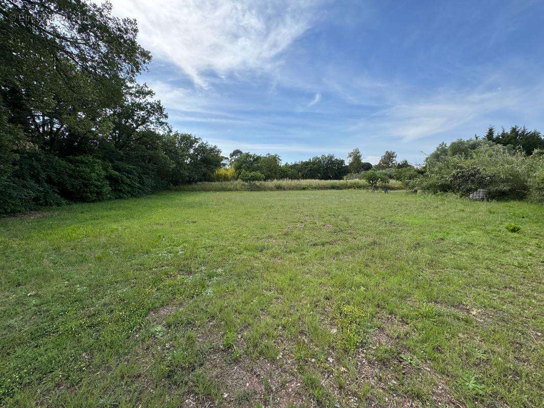 Terrain à PUGET-SUR-ARGENS