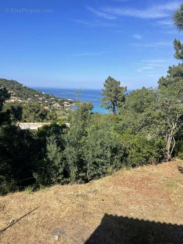 Maison à PORTO-VECCHIO