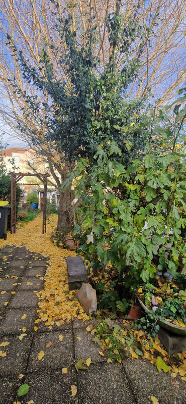 Maison à BULLY-LES-MINES