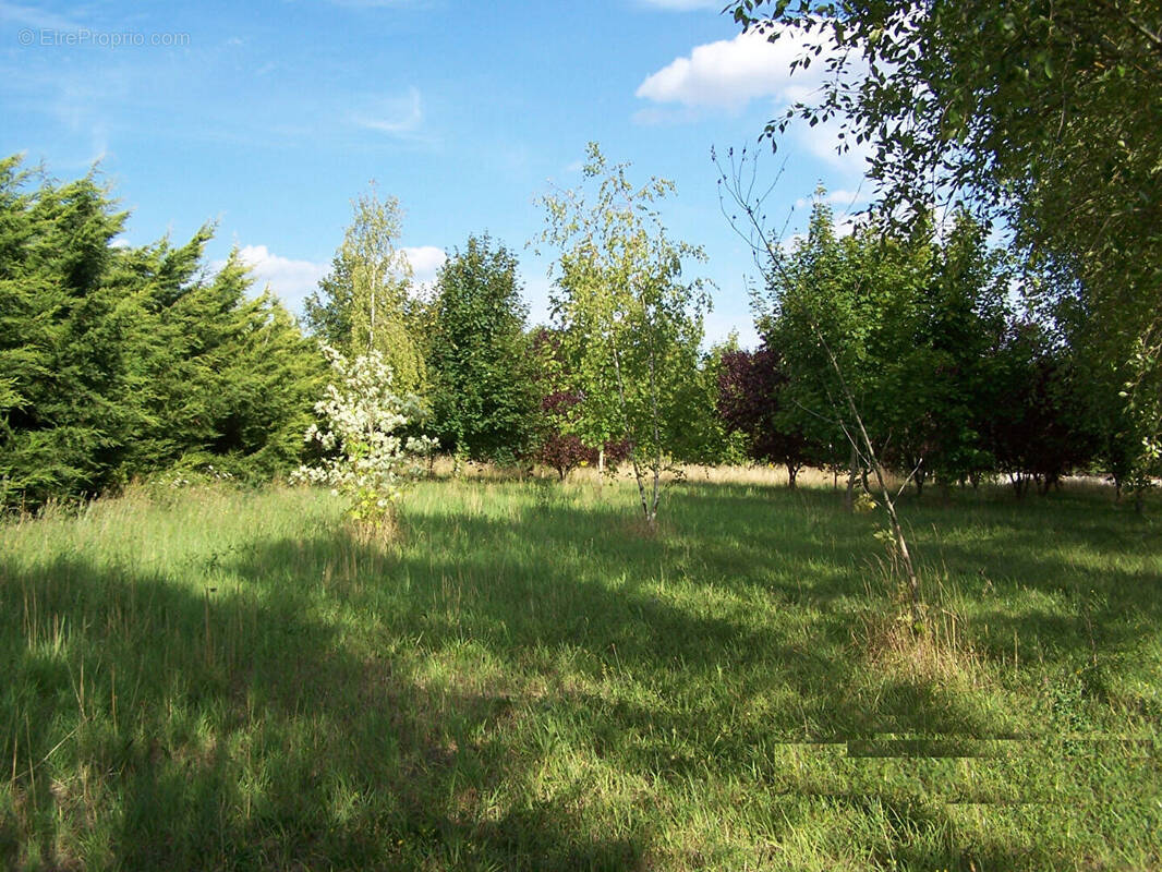 Terrain à EPERNON