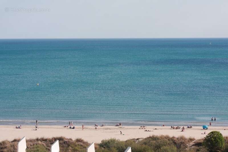 Commerce à LA GRANDE-MOTTE