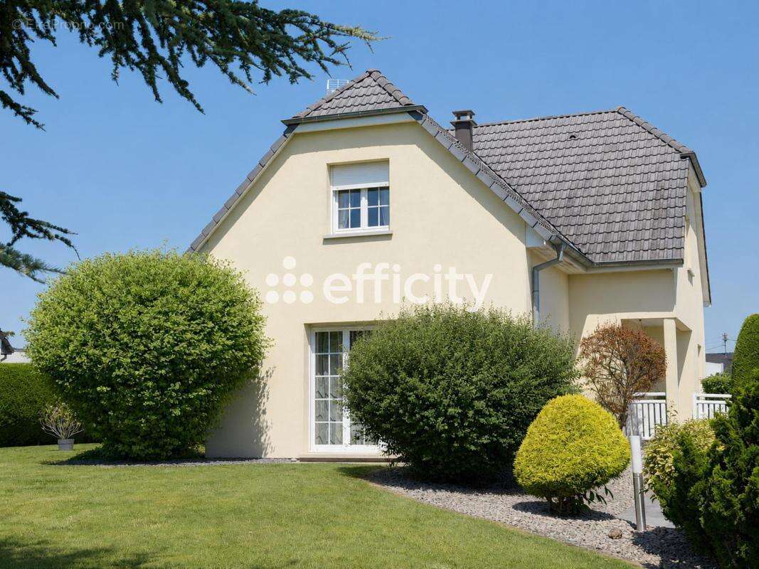 Maison à BARTENHEIM