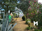 Terrain à SAINTE-MARIE-DE-RE