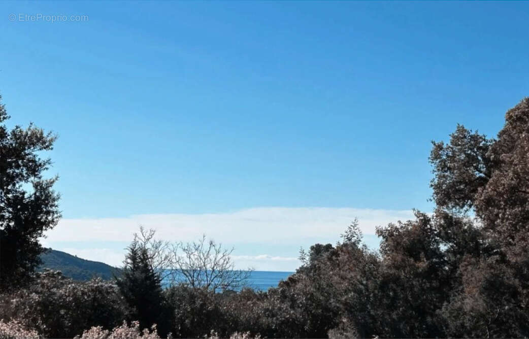 Maison à LA CROIX-VALMER