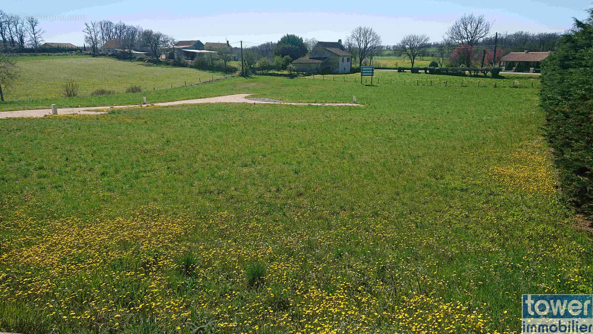 Terrain à SAINTE-CROIX