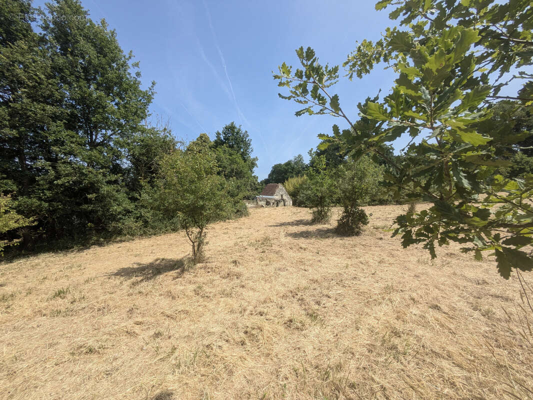 Maison à LA CHAPELLE-BLANCHE-SAINT-MARTIN