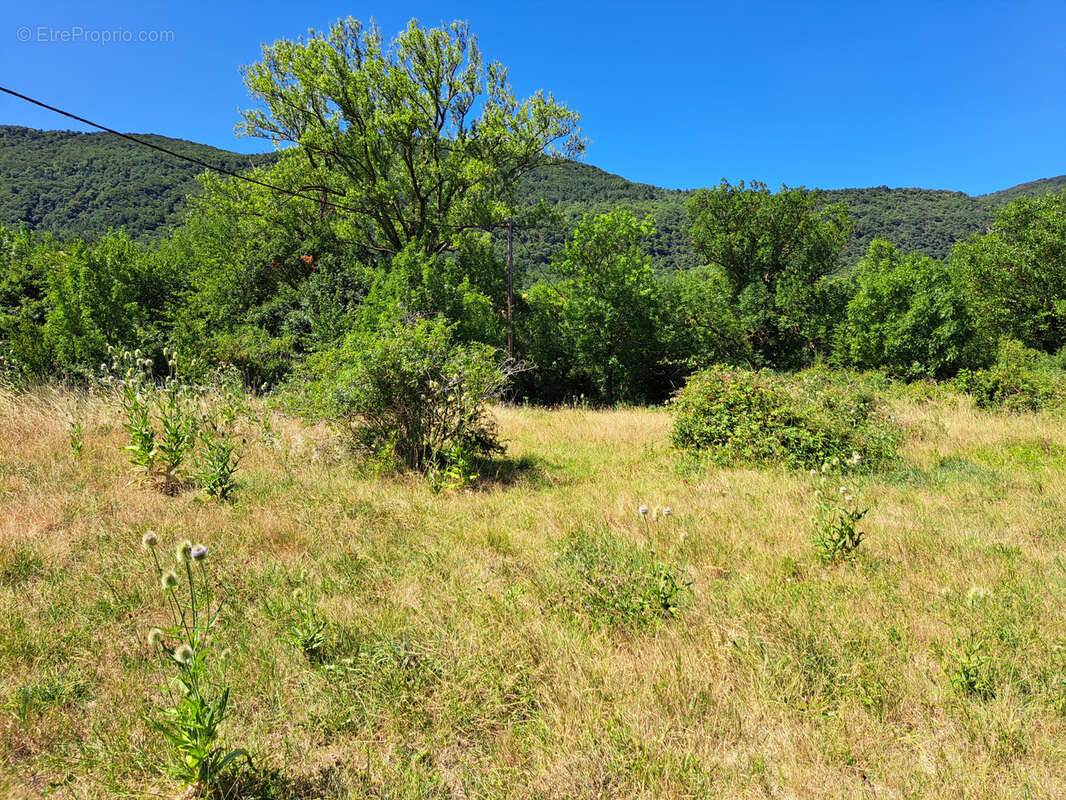 Ensemble immobilier avec vue sur le Pic de Bugarache - photo 14