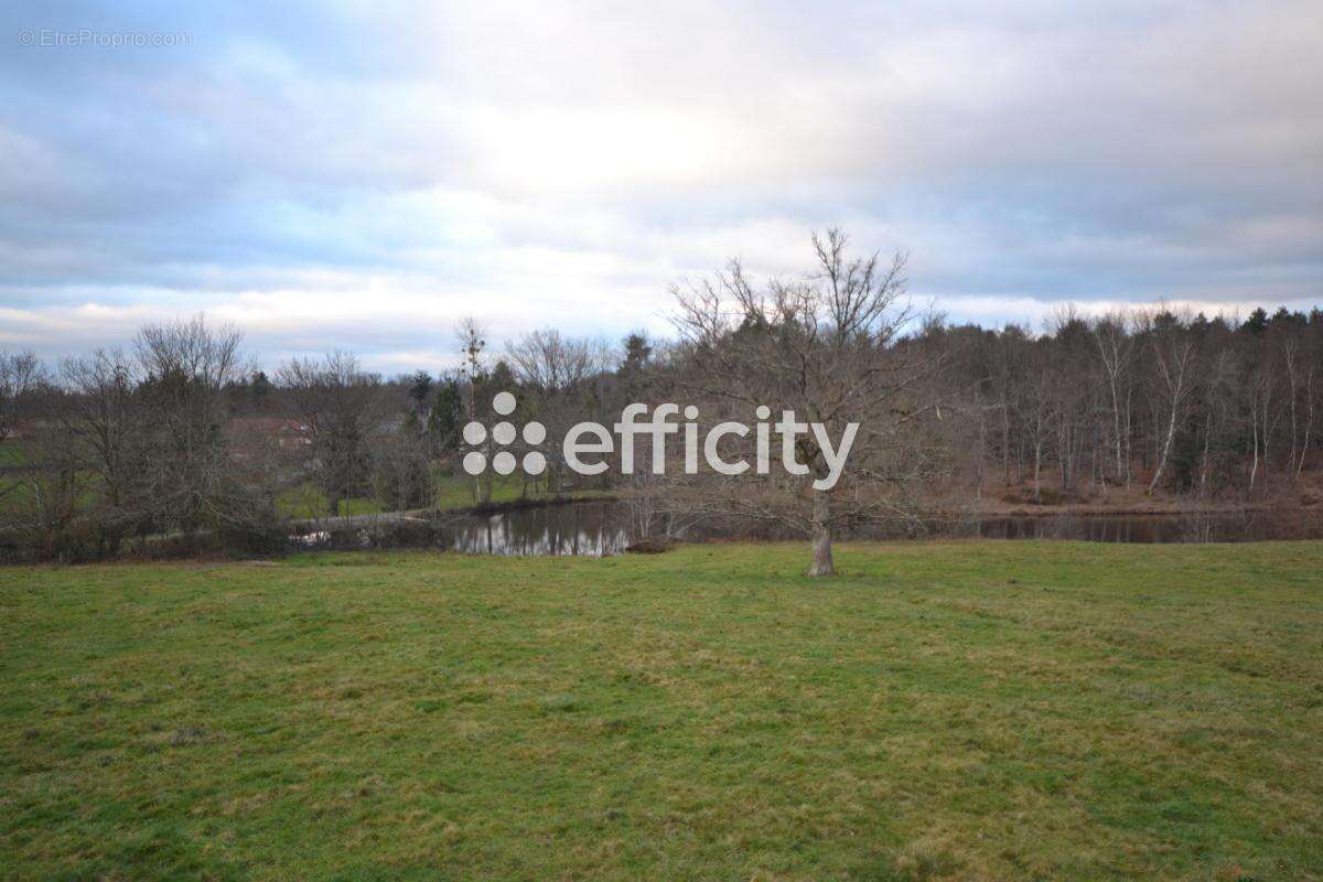 Maison à LA NOCLE-MAULAIX