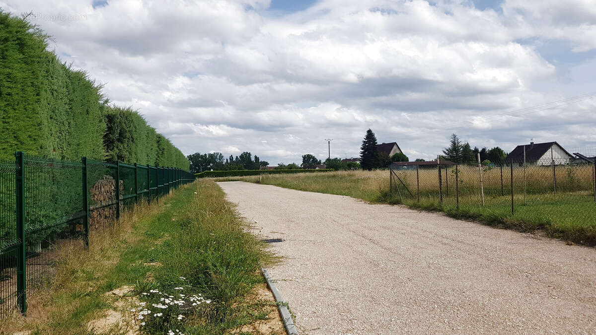 Terrain à L&#039;ABERGEMENT-SAINTE-COLOMBE