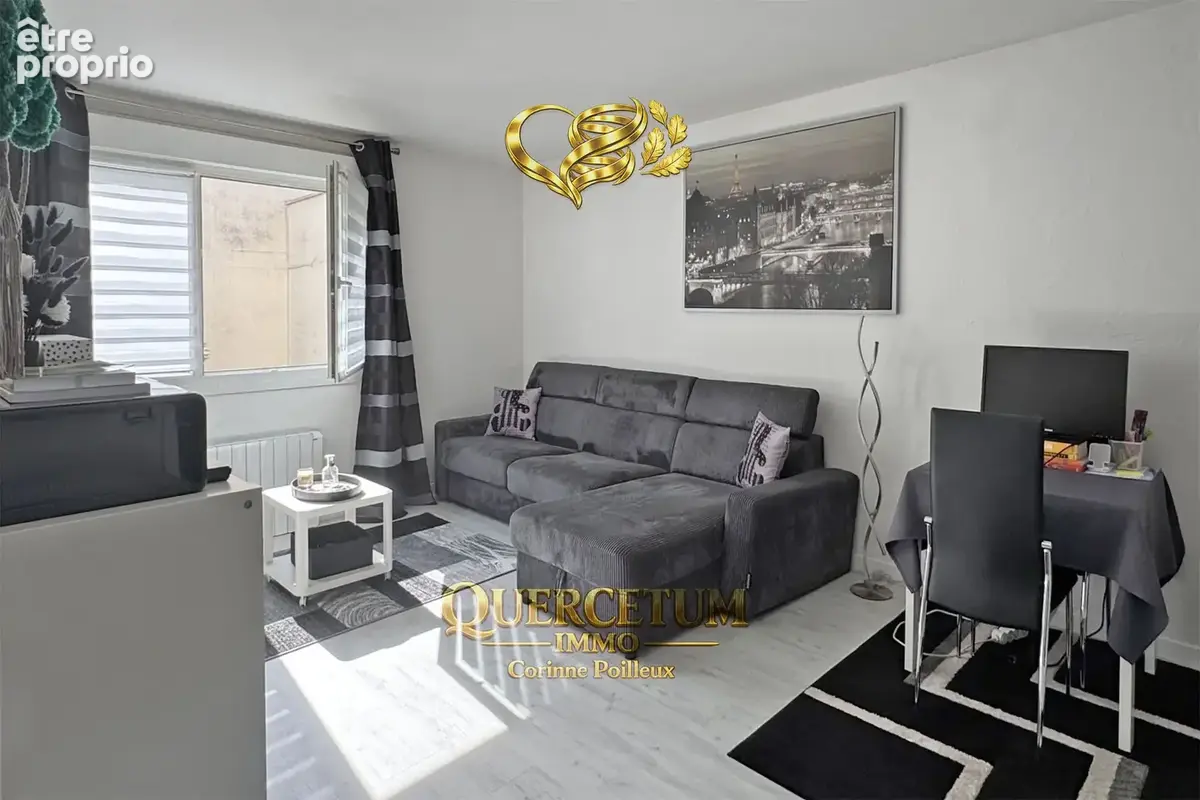 'BOULEAU BLANC' : Appartement 2 pièces  55 m2 -  1 chambres   cave   parking en sous-sol - photo 3