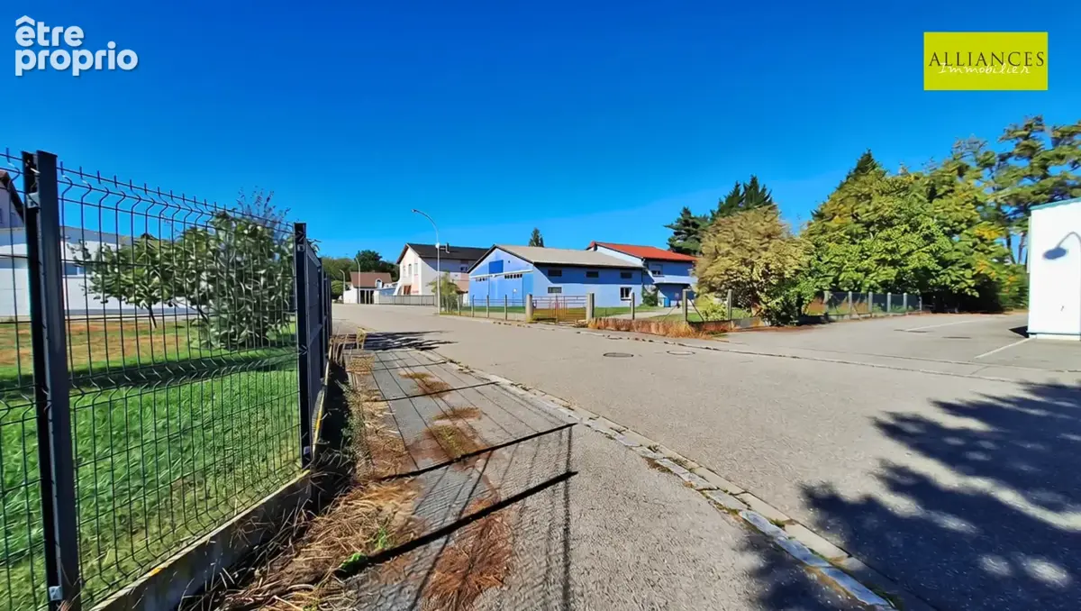 WITTENHEIM-Ensemble immobilier en zone artisanale et commerciale : locaux professionnels, grands volumes et te - photo 26