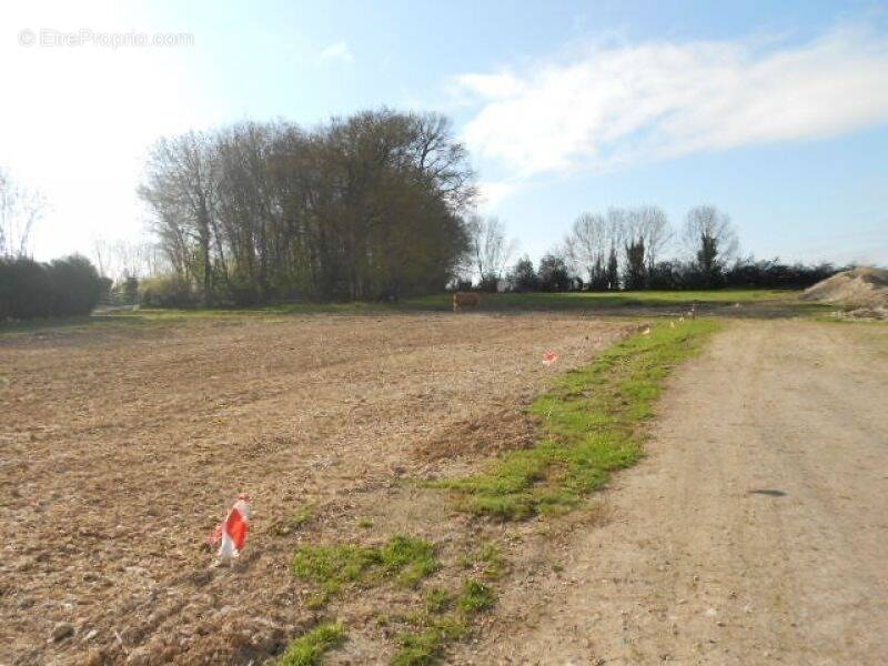 Terrain à PONTPOINT