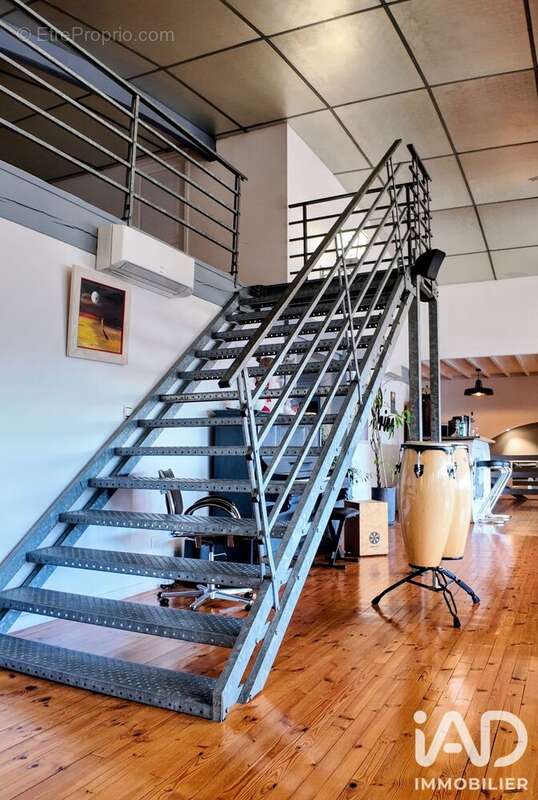 Maison 278 m² à Saint-Ferreol-D'auroure  - photo 7