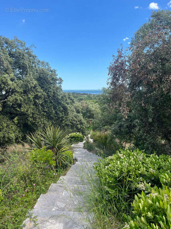 Propriété d'Exception entre Montpellier et Sète  650 m² · 2,5 ha · Vue Mer Panoramique à 180° - photo 12