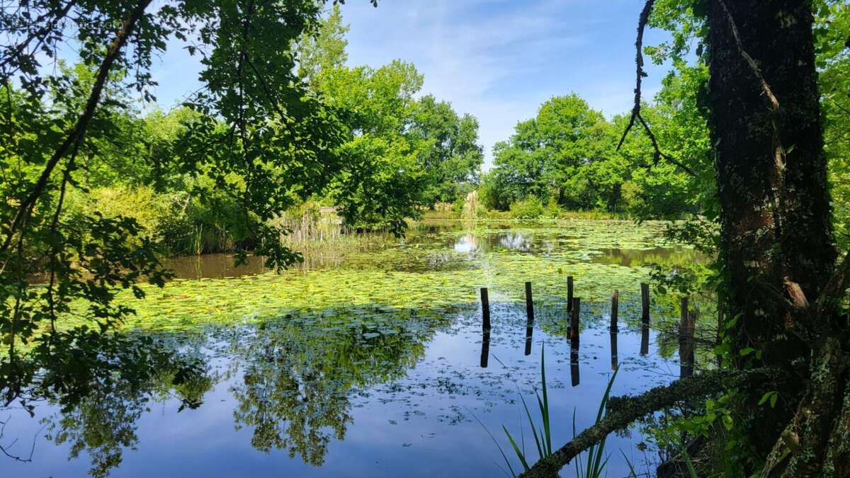 Maison à ECHOURGNAC