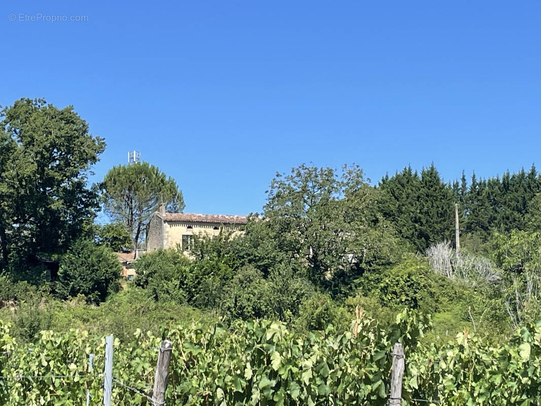 Maison à LES SALLES-DE-CASTILLON