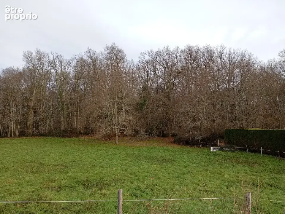 Terrain 769 m² à vendre à Bouliac (33270) - photo 2
